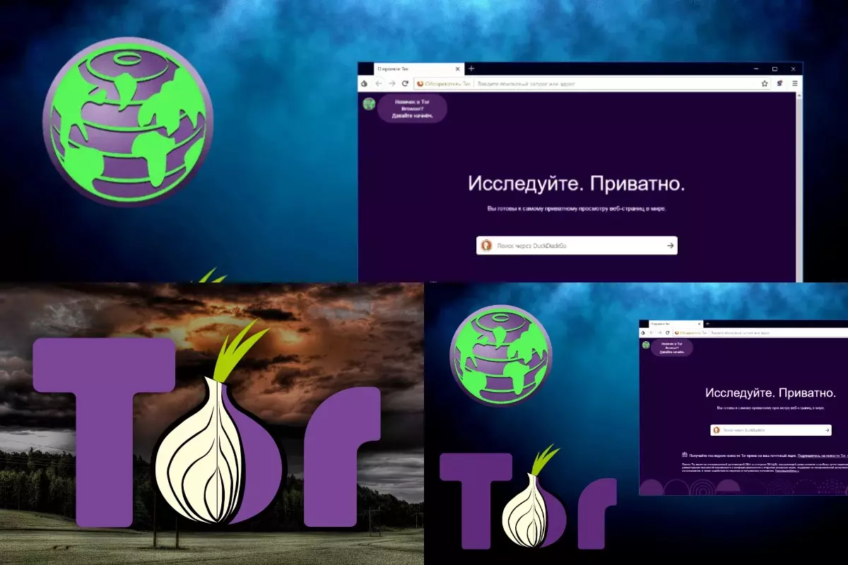 Проект Tor – самый безопасный браузер или нет? Проект Tor – самый безопасный браузер или нет?